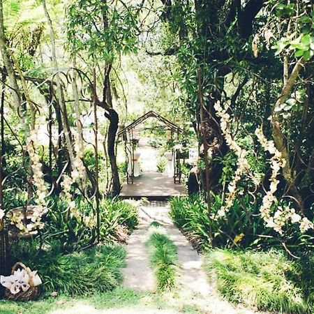 Waterbessiebos Cottage ツァニーン エクステリア 写真