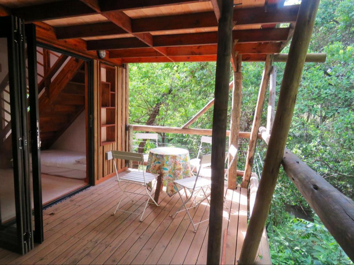 Waterbessiebos Cottage ツァニーン 部屋 写真